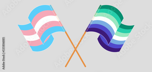 Crossed and waving flags of Transgender Pride and gay men pride