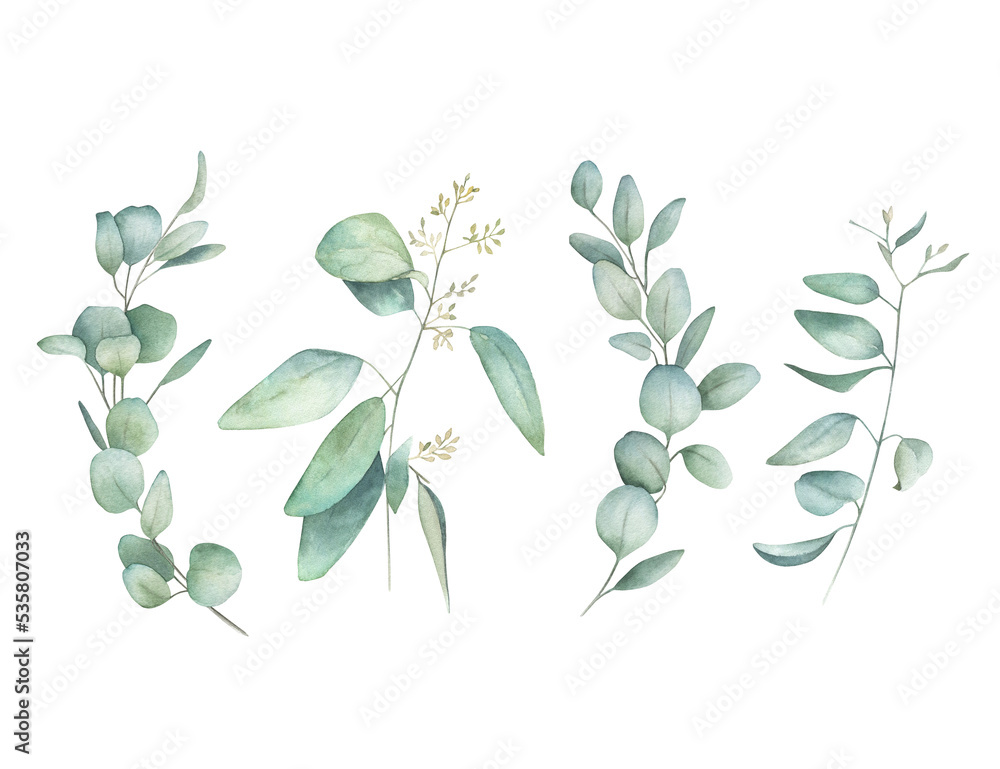 Naklejka premium Watercolor winter eucalyptus set. Hand drawn isolated illustration on white background