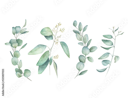 Watercolor winter eucalyptus set. Hand drawn isolated illustration on white background