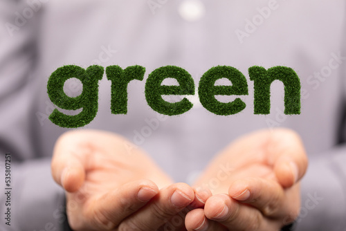 Concept of sustainability d...