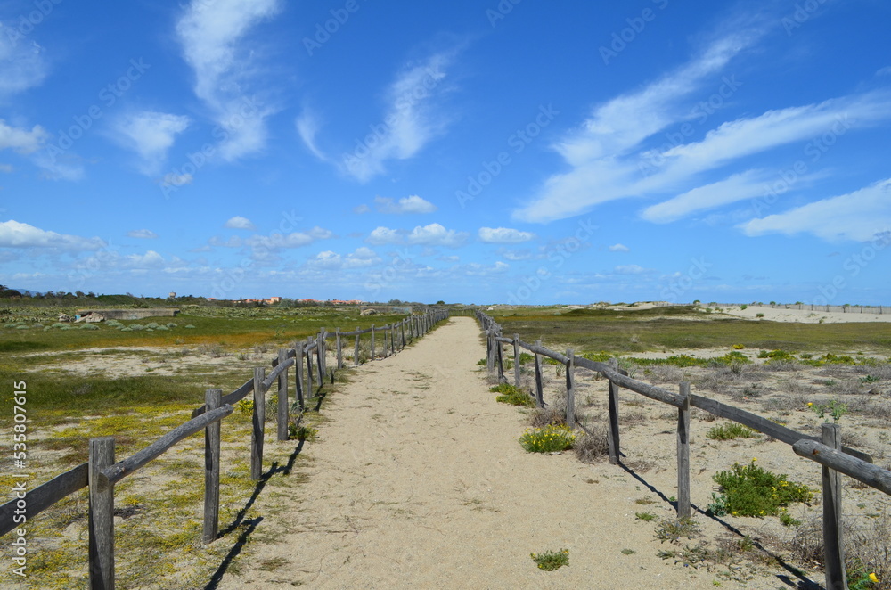 Plage de Torreilles ( Pyrénées Orientales - Occitanie - France) Plage de Torreilles ( Pyrénées Orientales - Occitanie - France)