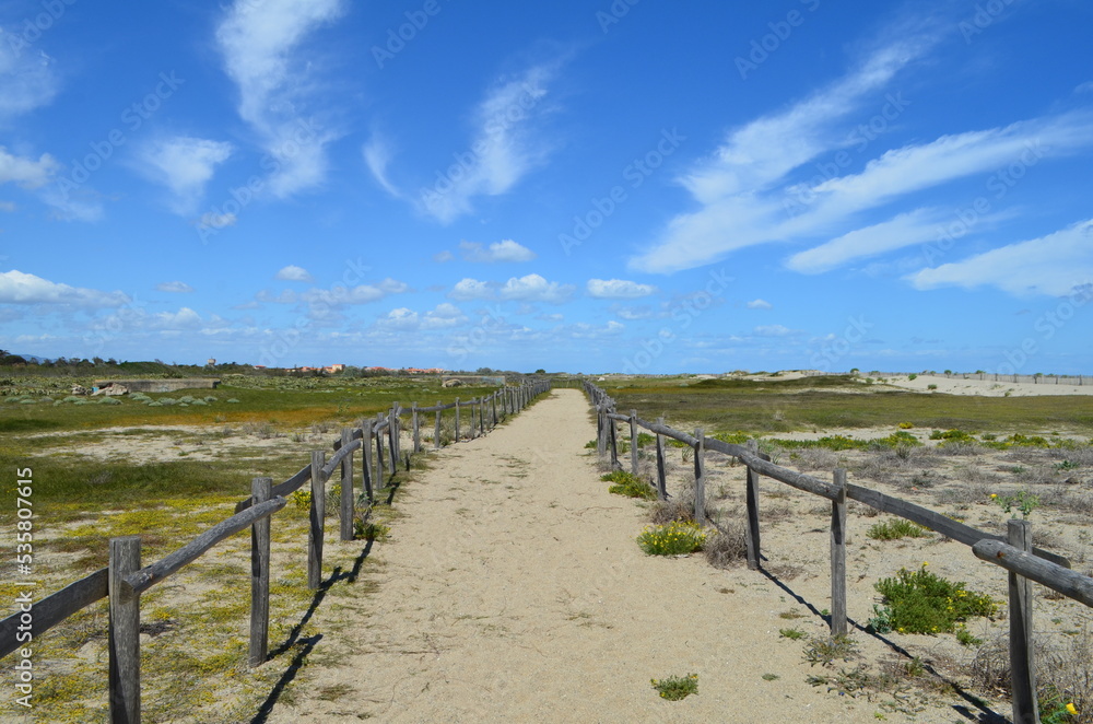 Plage de Torreilles ( Pyrénées Orientales - Occitanie - France) 