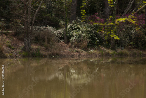 Fototapeta Naklejka Na Ścianę i Meble -  landscape reflected in a lake