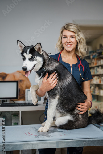 Photography of siberian husky dog and its female owner working in veterinay clinic.