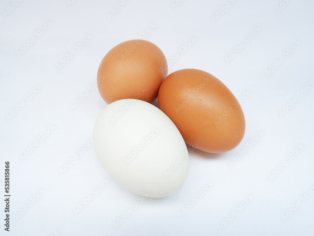 eggs brown and white chicken on white background eggs brown and white chicken on white background