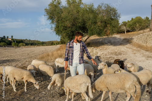 Young ethnic male shepherd with herd of sheep in countryside photo