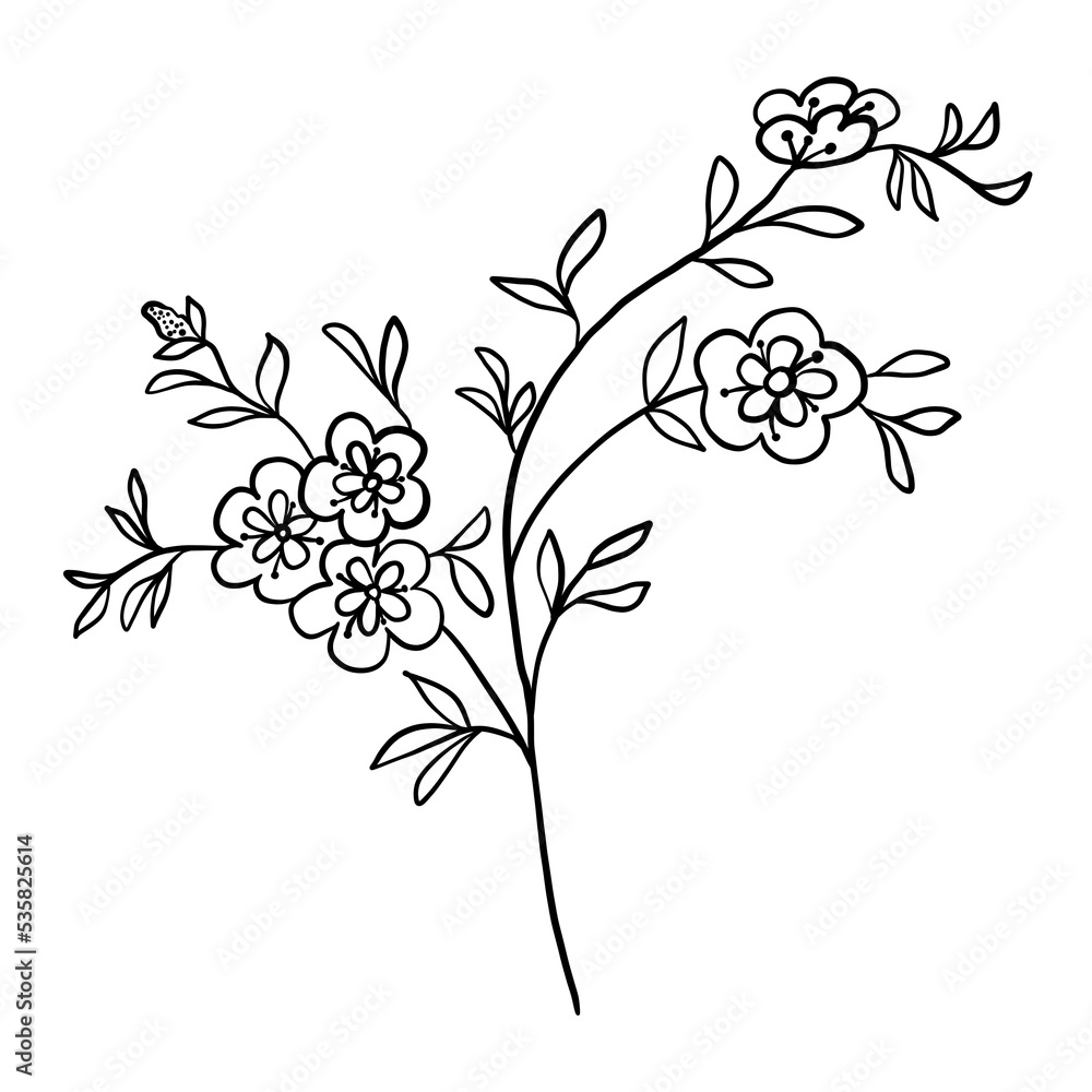 Wildflower line doodle isolated Wildflower line doodle isolated
