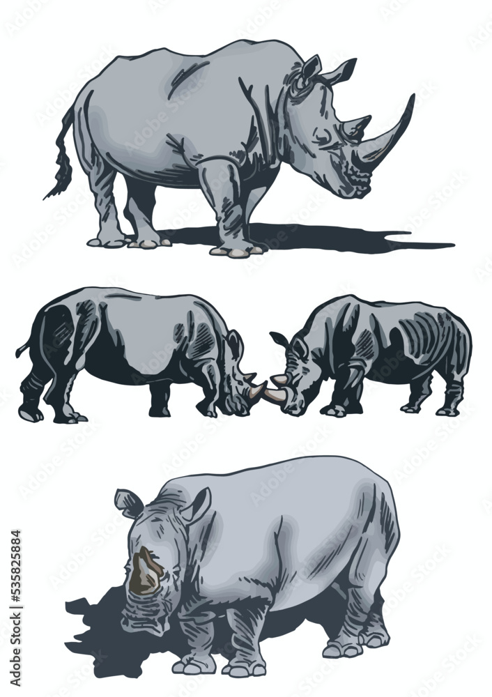 Fototapeta premium Color set of rhinoceroses on white isolated, vector illustration,graphical drawing. Stylish print elements, savanna habitant