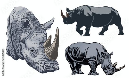 Color  set of rhinoceroses on white isolated  vector illustration graphical drawing. Stylish print elements  savanna habitant
