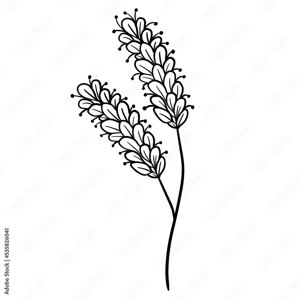 Wildflower line doodle isolated Wildflower line doodle isolated