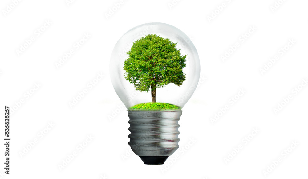 The bulb is located on the inside with leaves forest and the trees are in the light. Concepts of environmental conservation and global warming plant growing inside lamp bulb over dry The bulb is located on the inside with leaves forest and the trees are in the light. Concepts of environmental conservation and global warming plant growing inside lamp bulb over dry