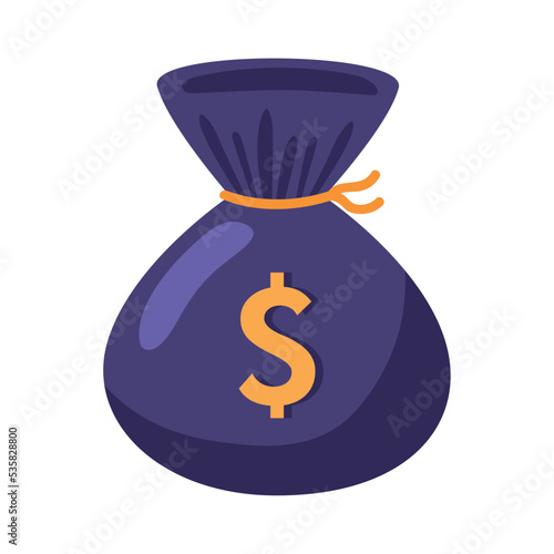 money dollars bag