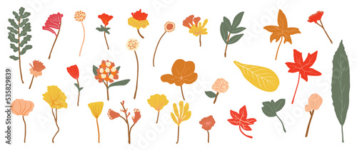 Collection of autumn botanical element vector. Set of floral, wild flowers, leaf branches, foliage, maple in line art. Hand drawn of autumn foliage design for decorative, print, graphic, card.