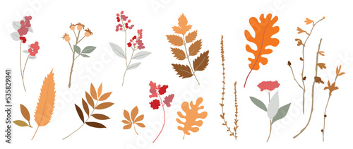 Collection of autumn botanical element vector. Set of floral, wild flowers, leaf branches, foliage, maple in line art. Hand drawn of autumn foliage design for decorative, print, graphic, card.