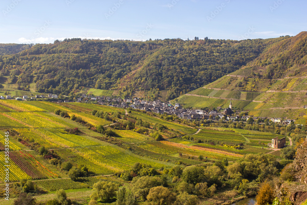 Moselle River valley in Germany, view of Bremm village and vineyards