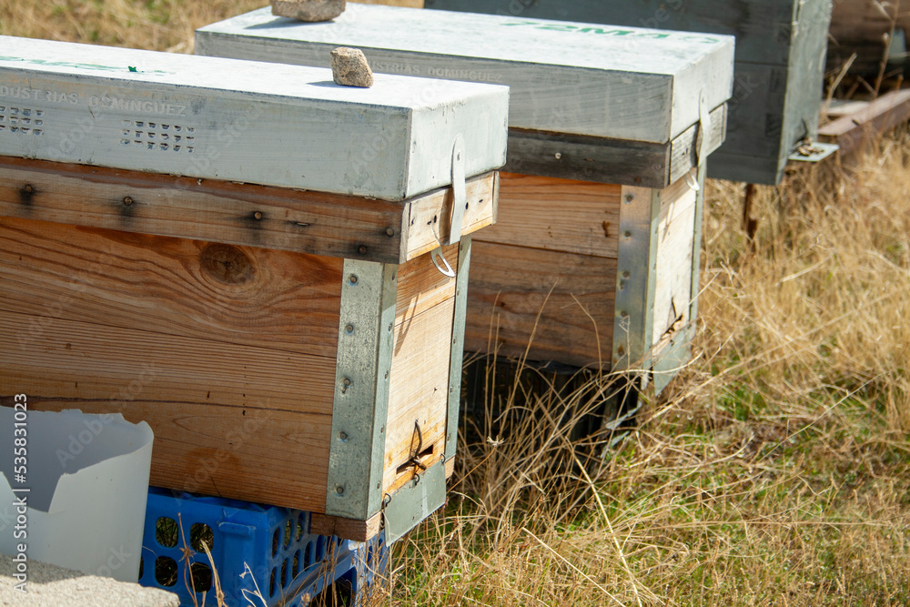 Attention bees working! Bees working in their hives at the end of summer in the mountains and forests of Castilla y León in Spain Attention bees working! Bees working in their hives at the end of summer in the mountains and forests of Castilla y León in Spain