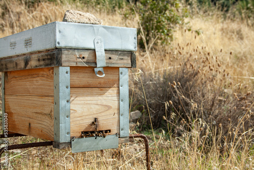Attention bees working! Bees working in their hives at the end of summer in the mountains and forests of Castilla y León in Spain