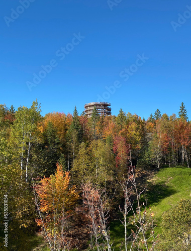 Panoramic tower in the forest at fall. Footbridge and observation building, unique view of the mountains. High platform, summit path, wooden bridge in the park. Walking in the treetops.