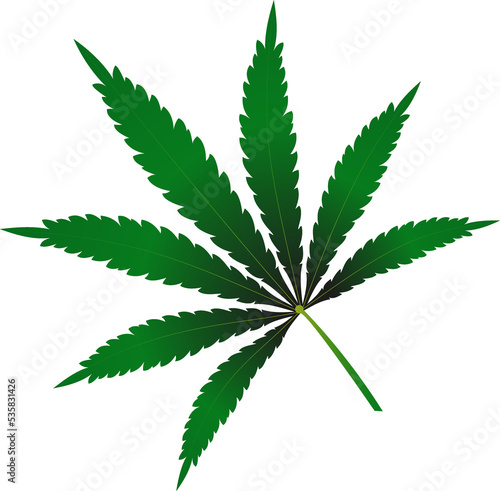 Cannabis leaf design illustration on white background
