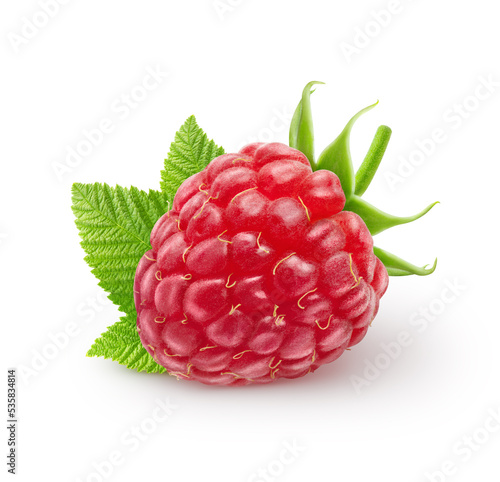 Isolated berry. Single raspberry fruit with leaves isolated on white background with clipping path