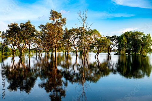 Reflection in Blue Laked,Blue lake and green trees.Trees and reflections in the flood background,Thailand,asia.