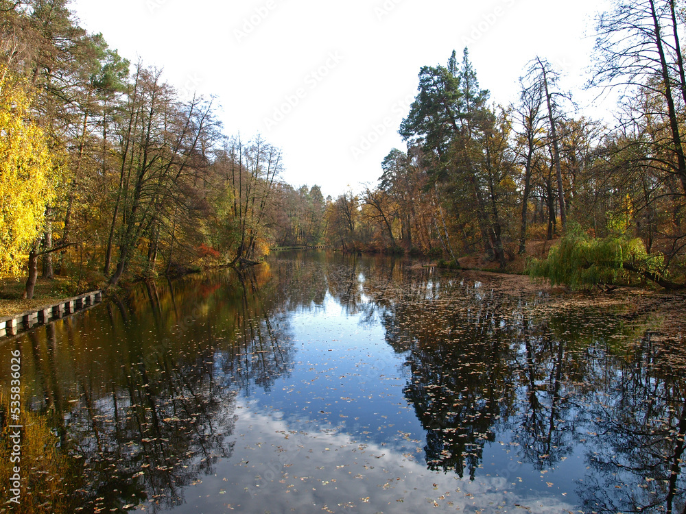 Fototapeta premium Late autumn. Fall season and picturesque landscape with pond. Yellowed leaves and trees in late autumn on the banks of river or lake. City park for walking. Golden autumn season