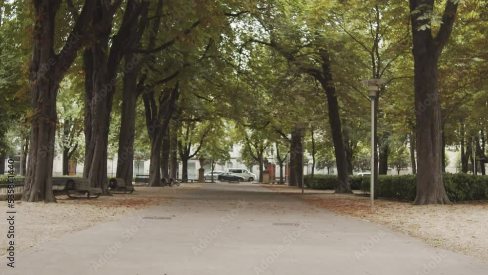 Tracking shot of the entrance of a park with trees and leaves in the floor with cars driving in the distance in autumn Tracking shot of the entrance of a park with trees and leaves in the floor with cars driving in the distance in autumn