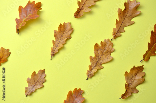 Oak leaves on a yellow background.
