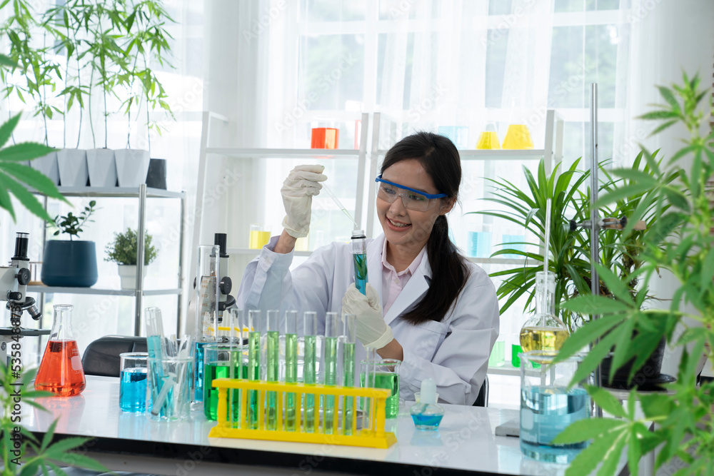 asian botanist working at lab asian botanist working at lab