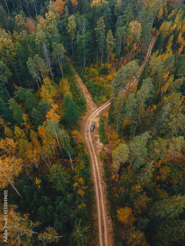 Aerial view of road in beautiful autumn forest at sunrise. Beautiful landscape with empty rural road, trees with red and orange leaves. Highway through the park. Top view from flying drone. Nature