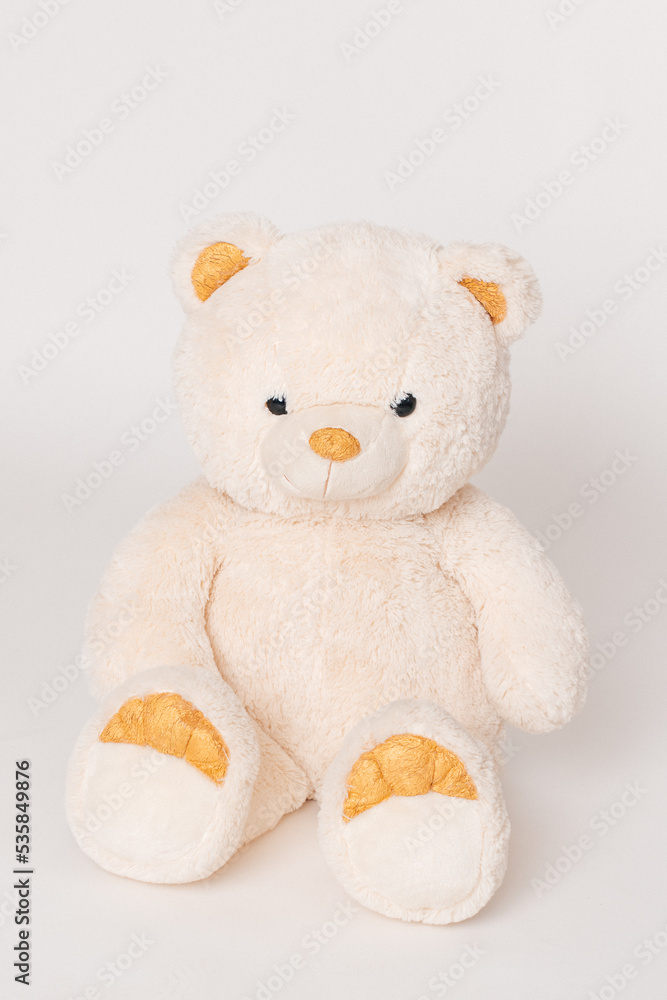 Obraz premium Teddy bear