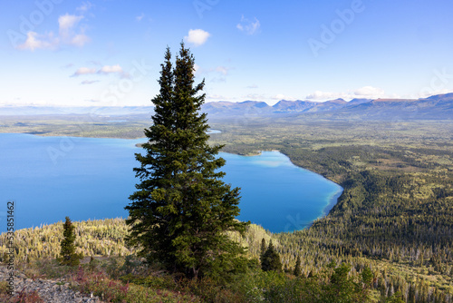 View over Lake Kathleen from King's throne, with evergreen tree in foreground and wide landscape in background, Kluane Nationalpark, Yukon, Canada photo