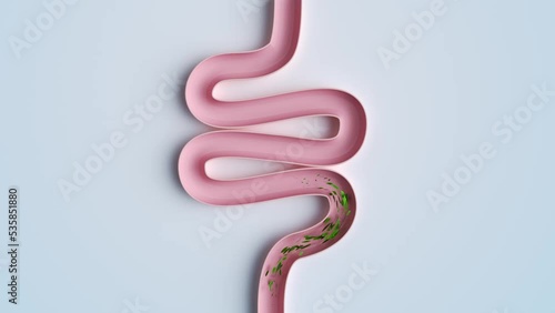 clean intestine canal 3d rendered photo