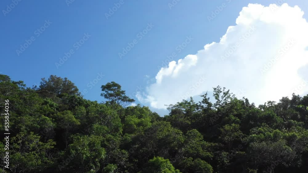 aerial take in the brazilian rainforest, from sky to forest, global warming in brazil aerial take in the brazilian rainforest, from sky to forest, global warming in brazil