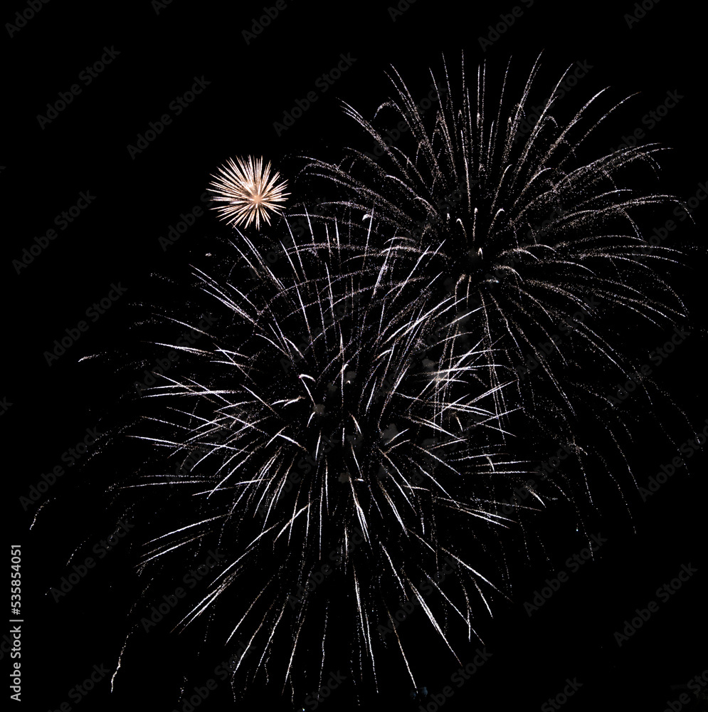Fototapeta premium fireworks in the night sky