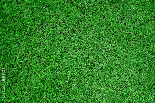 top view of green grass texture background for football field golf or garden decoration. close up of natural green lawn texture background