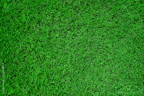 top view of green grass texture background for football field  golf or garden decoration. close up of natural green lawn texture background