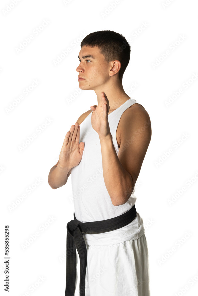 Teenage boy doing a karate block