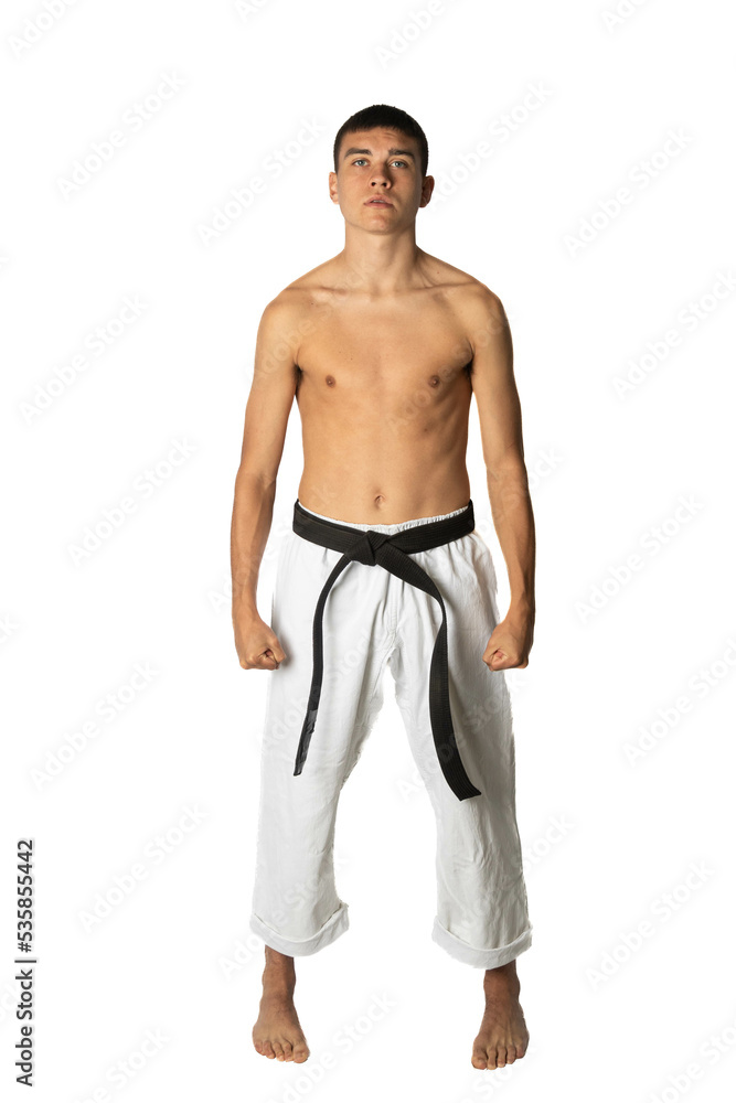 Fototapeta premium A Black Belt Teenage Boy Posing