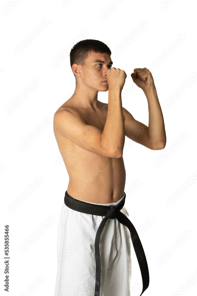 Fototapeta premium Teenage boy doing a Karate Strike
