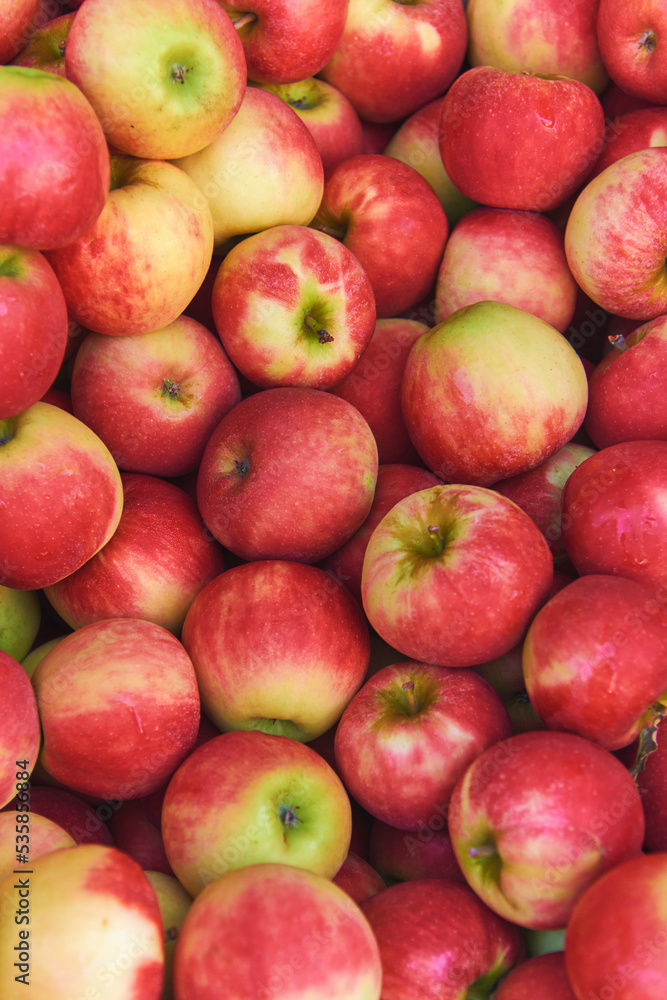 A large number of delicious washed red apples A large number of delicious washed red apples