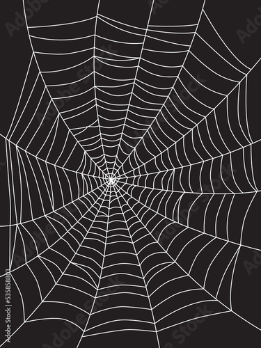 Spider web drawing on a black background