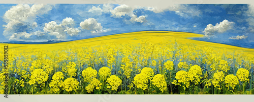 yellow rapeseed field against blue sky nature, background, banner, landscape