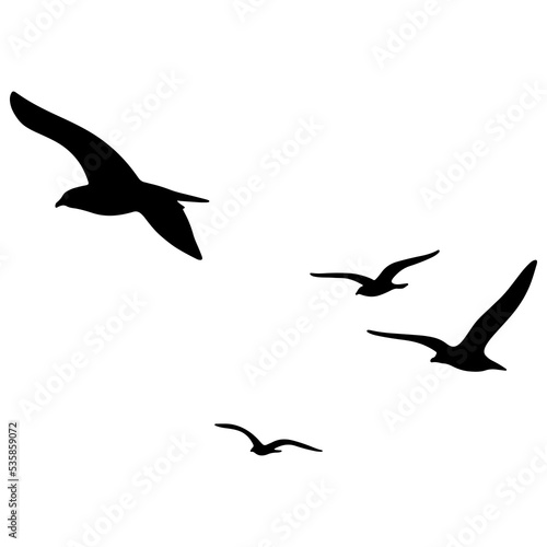 silhouettes of birds