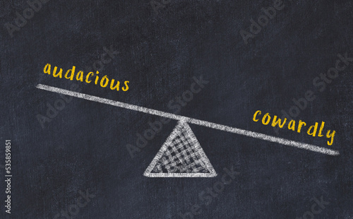 Fotografie Balance between audacious and cowardly. Chalkboard drawing.