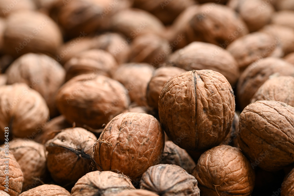 Beautiful close-up of a walnut Beautiful close-up of a walnut