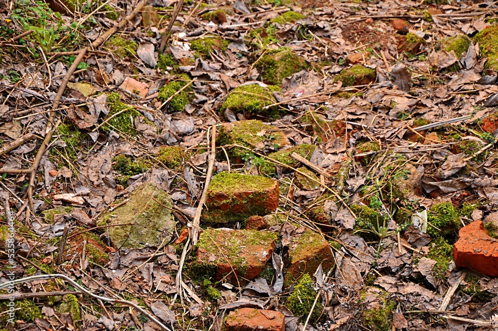Ruins are the remains of a destroyed building, structure, a group of them, or an entire settlement. Ruins are the remains of a destroyed building, structure, a group of them, or an entire settlement.