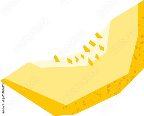 melon flat summer tropical fruits vector