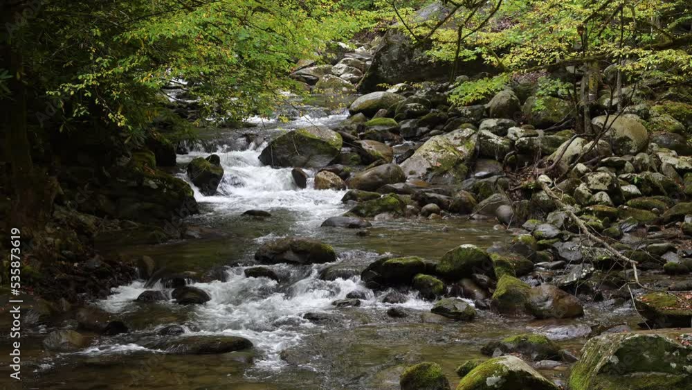 Cascades in the Middle prong of the Little Pigeon River in Great Smoky Mountains, TN, USA (4K/24p, ProRes HQ, 10-bit) Cascades in the Middle prong of the Little Pigeon River in Great Smoky Mountains, TN, USA (4K/24p, ProRes HQ, 10-bit)
