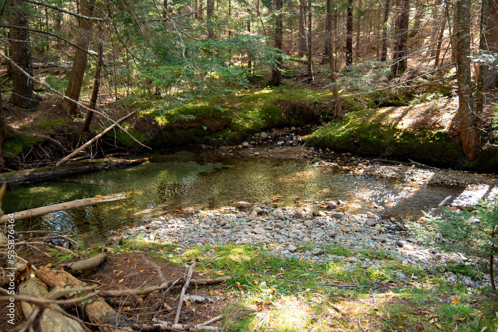 Fototapeta premium Autumn Landscape near lake